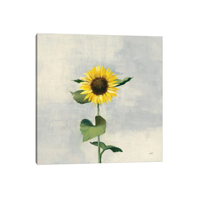 Sunny Blooms II 1 Piece Wrapped Canvas Painting