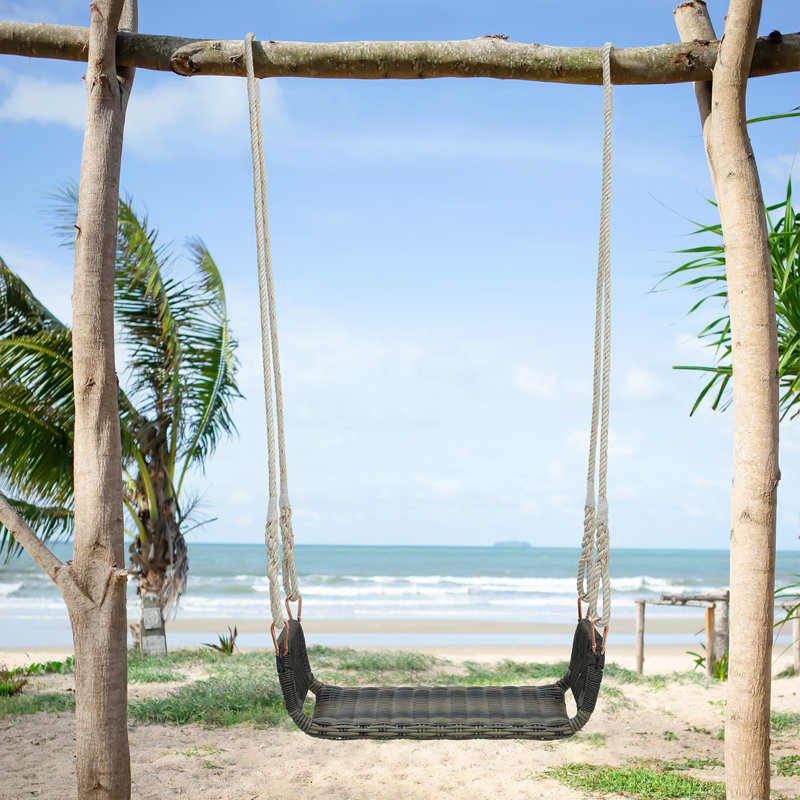 Roeline 1 Person Hanging Porch Swing