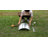 Nalen Metal Raised Garden Bed