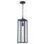 Lanterne suspendue d'extérieur 1 lumière Iddings-1267815991