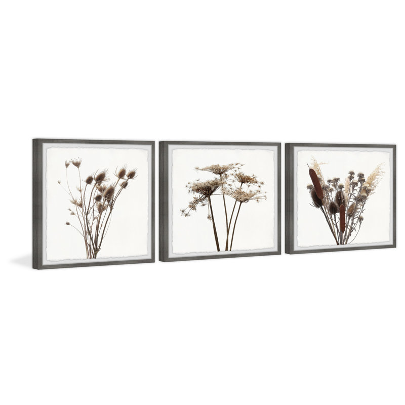 Rustic Dandelion by Marmont Hill - 3 Piece Single Picture Frame Painting Set, 61" H x 61" W