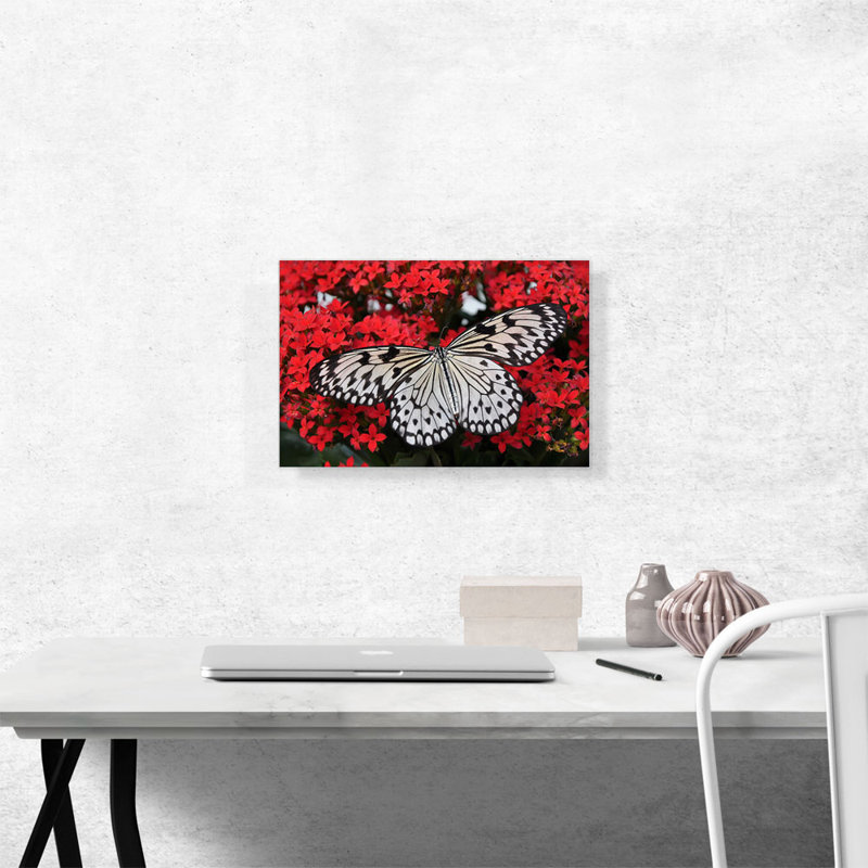 «Butterfly on Red Flowers Home Decor», reproduction de photo sur toile tendue, H 12 po x l 18 po x 1,5 po