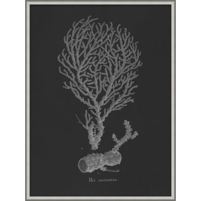 Briny Deep 5 Print