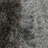 Jenssy Indoor Rug-20327140