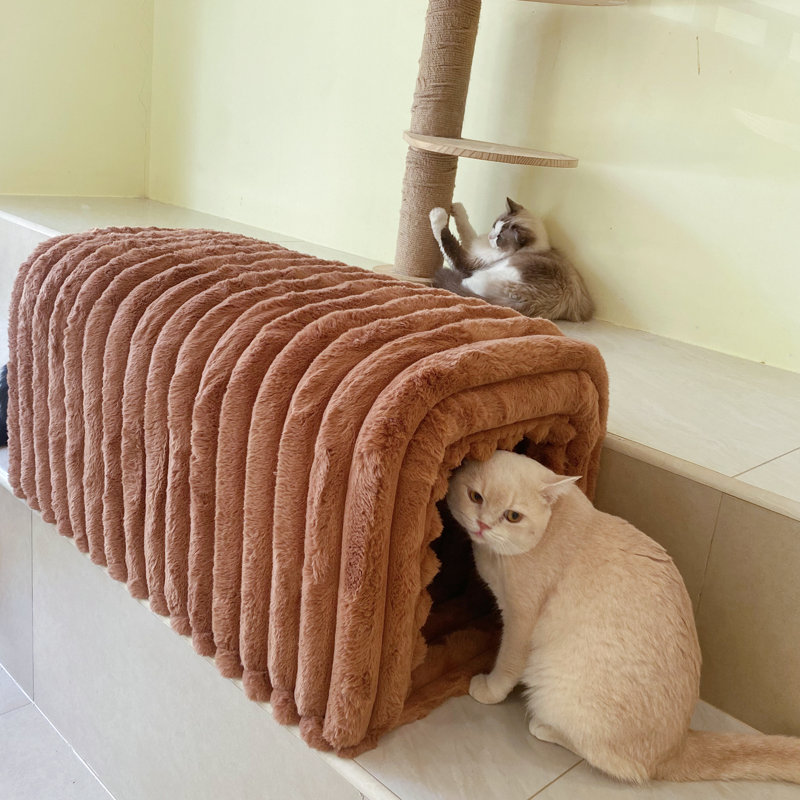 Fournitures pour animaux en velours côtelé, Brun