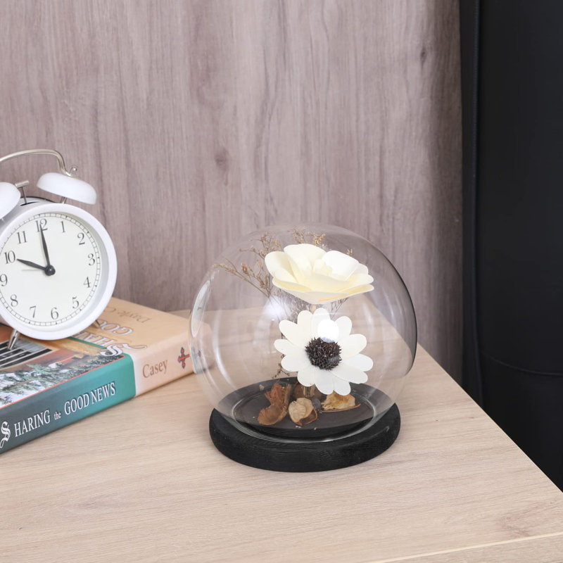 Terrarium Cloche with Wood Base