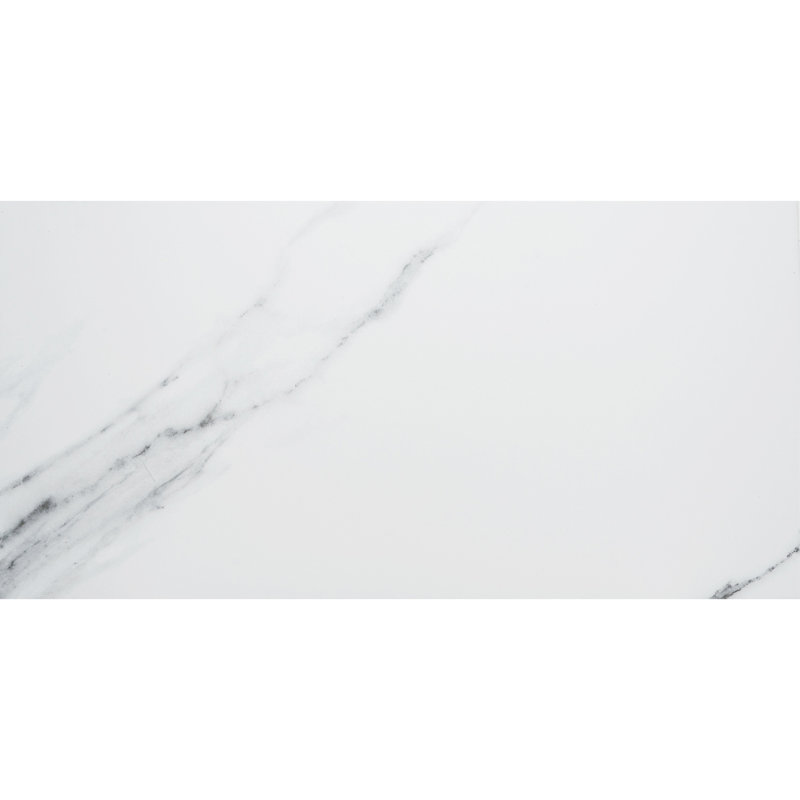 Tmolus 13" x 26" Matte Porcelain Floor and Wall Tile