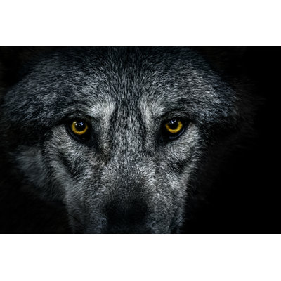 Wolf Eyes by Zocha_K - Wrapped Canvas Print