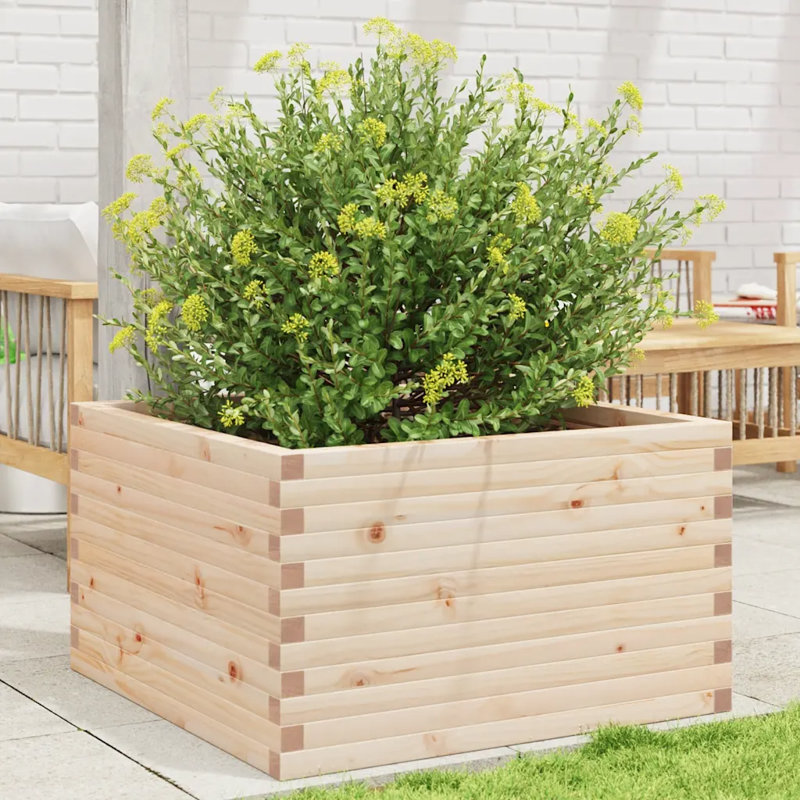 2 Wood Planter, Natural pine wood, 23cm H x 50cm W x 50cm D