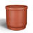 Privet Pot Planter-1470429564