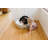 Prancer Fleece Pet Bed