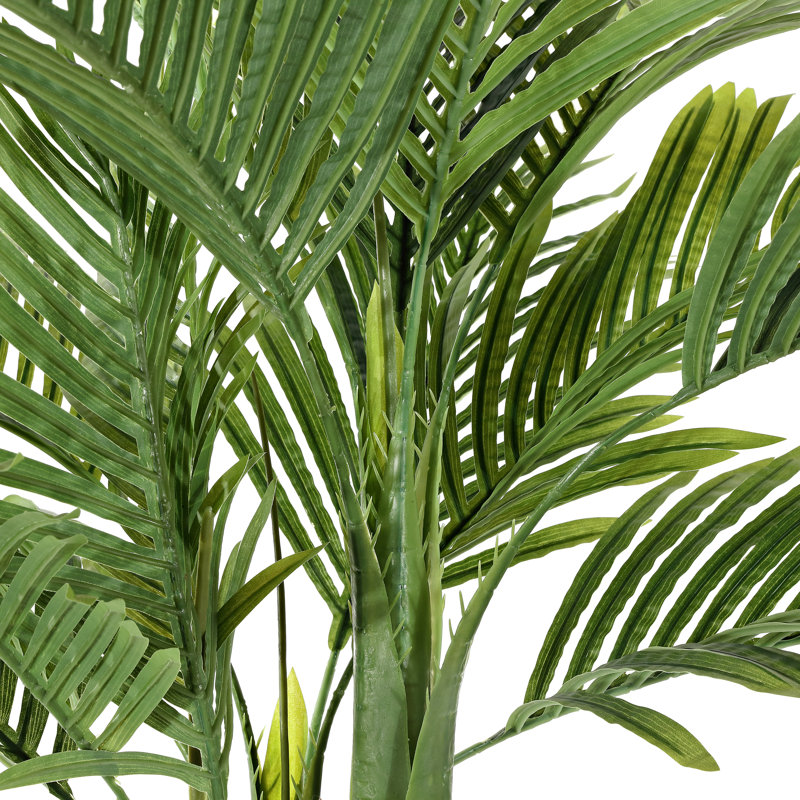 49'' Plant