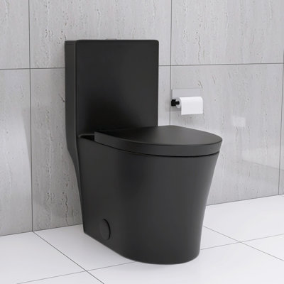 Elongated One Piece Toilet Dual Flush 1.1/1.6 GPF Water Saving Map 1000G
