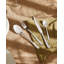 Caccia Stainless Steel Serving Spoon