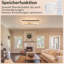 Flush Mount