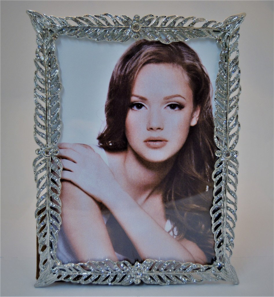 Montpelier 5" x 7" Metal Single Picture Frame House of Hampton® 