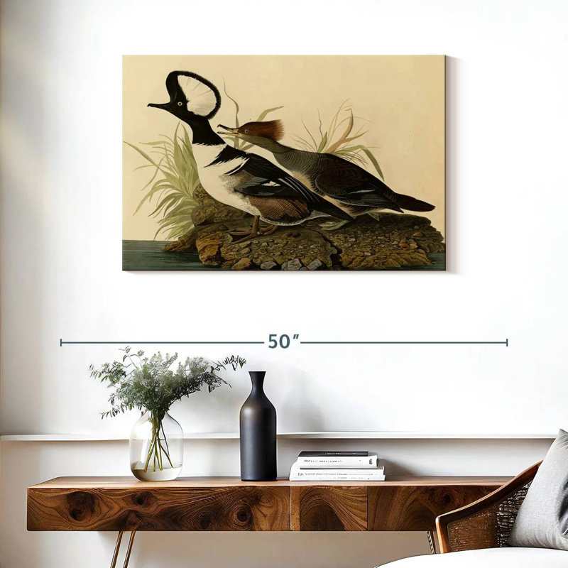 Hooded Merganser, 24" H x 36" W