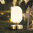 Wint Metal Desk Lamp-1561794611