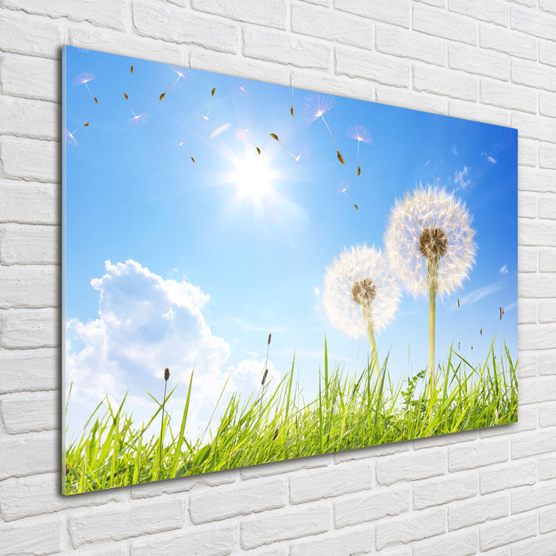 Dandelions - No Frame Print on Glass