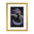 Gold Framed Fine Art Paper is unavailable