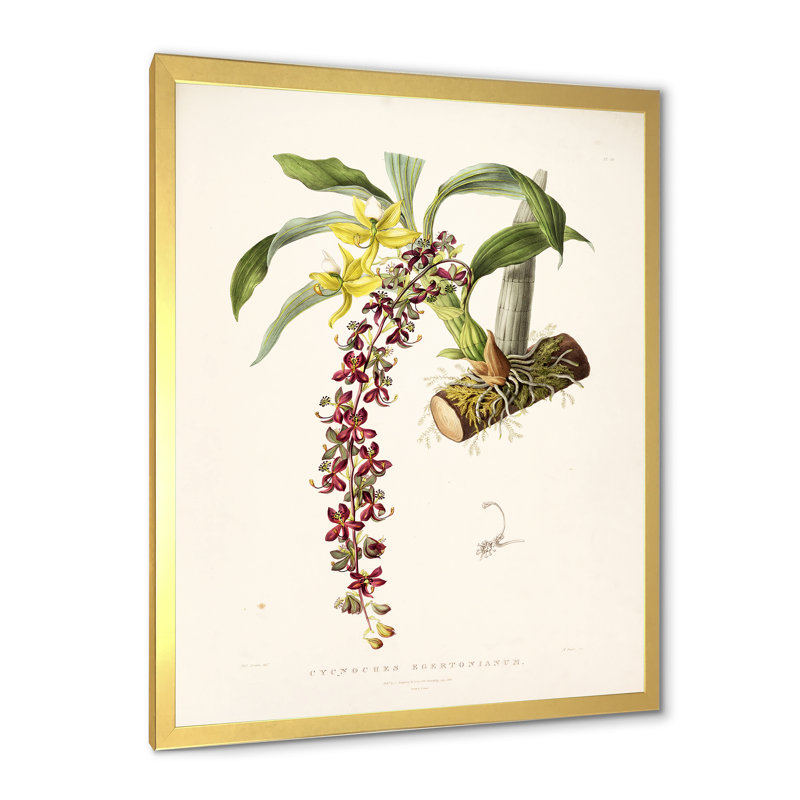 Fleur rétro II - peinture sur toile, H 20 po x l 12 po x P 1po, Cadre doré