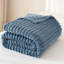 Striped Plush Lightweight Throw Blanket, Ultra Soft & Cozy for Sofa Couch Bed, Machine Washable-125310129-125310134