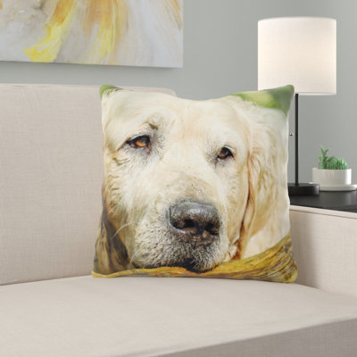 Coussin décoratif golden retriever