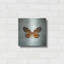 «French Butterfly VIII» par Debra Van Swearingen-2057608700