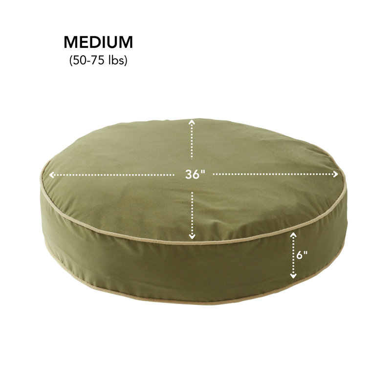 Lit pour chien Buckhead, Mousse, Moyen (l 36 po x P 36 po x H 6 po)
