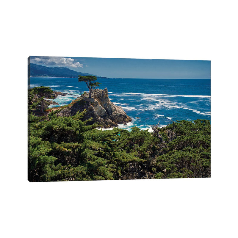Lone Cypress, Pebble Beach, Ca by Zoe Schumacher - No Frame Print on Canvas, 20.32 cm H x 30.48 cm W