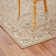 Oriental Indoor Rug