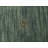 Solid Green 5X5 Oriental Modern Square Rug