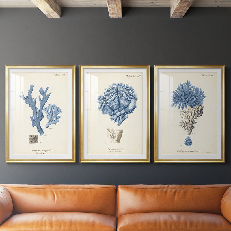 Corail antique en bleu marine I - Impression personnalisée de qualité supérieure avec cadre mat - 3 pièces