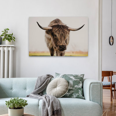 Watchful Eye - Contemporary Highland Cow Portrait Rustic Photography Farm Animal Closeup Art