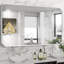 Miroir mural de salle de bain en nickel brossé, grand miroir rectangulaire de coin arrondi avec cadre en métal argenté, verre trempé, incassable, suspension horizontale ou verticale (28 po x 60 po, argent)-1941832397-1941832398-1941832436