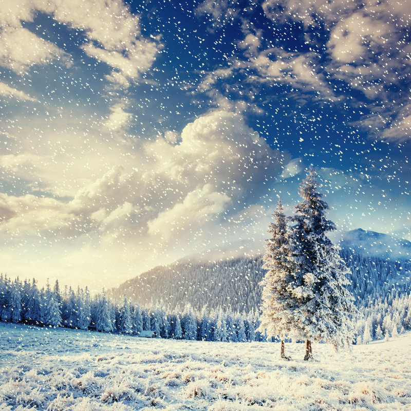 Paysage d'hiver - photographie sur toile tendue, H 12 po x l 12 po