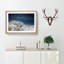 Denali McKinley Mountain in Alaska - Picture Frame Painting Print-55491045-55491046