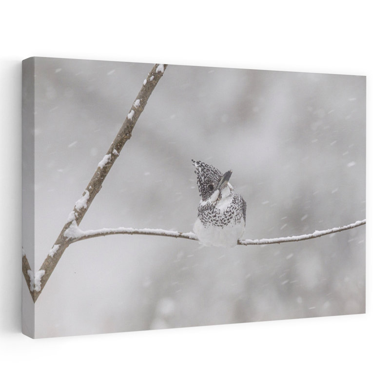 Dashiell Contemporary Art Abstract Contemporary Bird Nature Wildlife Wall Art 1 Piece Wrapped Canvas Wall Art