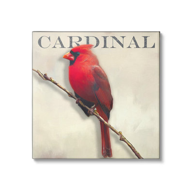 " Bold Red Cardinal Bird Portrait Rustic Text Design " by Alpenglow Workshop