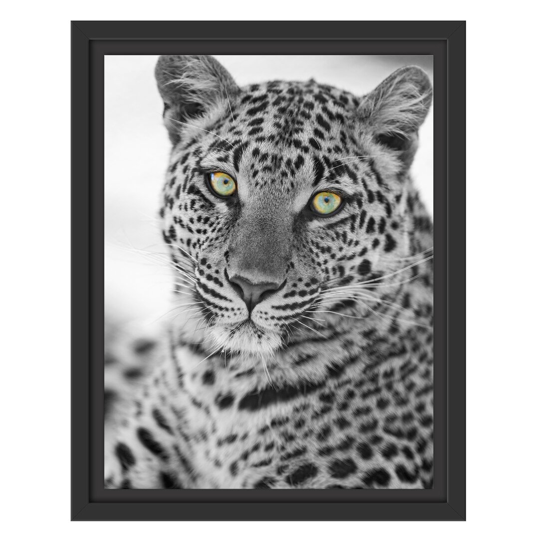 Gerahmter Fotodruck Beautiful Leopard