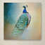 «Vidur Peacock 4» par Jai Johnson, reproduction d'art graphique sur toile-22073273