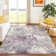 Machine Washable Indoor/Outdoor Molewski ACN2340 Floral Rug