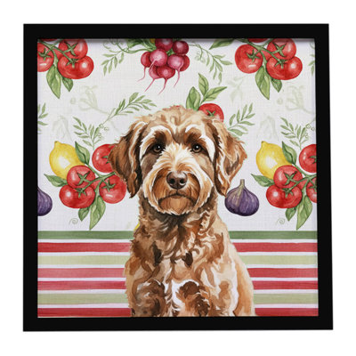 Chocolat, labradoodle, légumes, impression sur métal encadrée