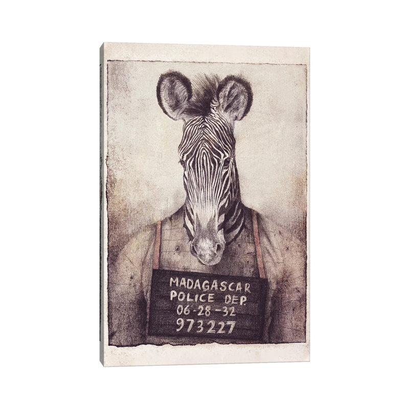 Madagascar Mugshot by Mike Koubou - Wrapped Canvas Gallery-Wrapped Canvas Giclée, 20.32 cm H x 30.48 cm W