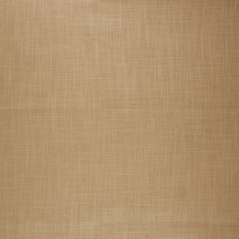Tissu thumbelina Wesco, Clypéastre