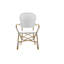 Fauteuil de salle à manger Isabell-72854596-72854597