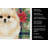 Cream Pomeranian Christmas PoinsettIas Kitchen Towel-2080584071