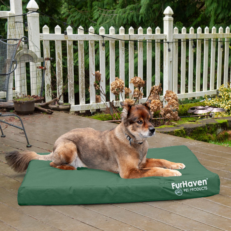 Jumbo Forest Green Orthopedic Foam Outdoor Pet Bed