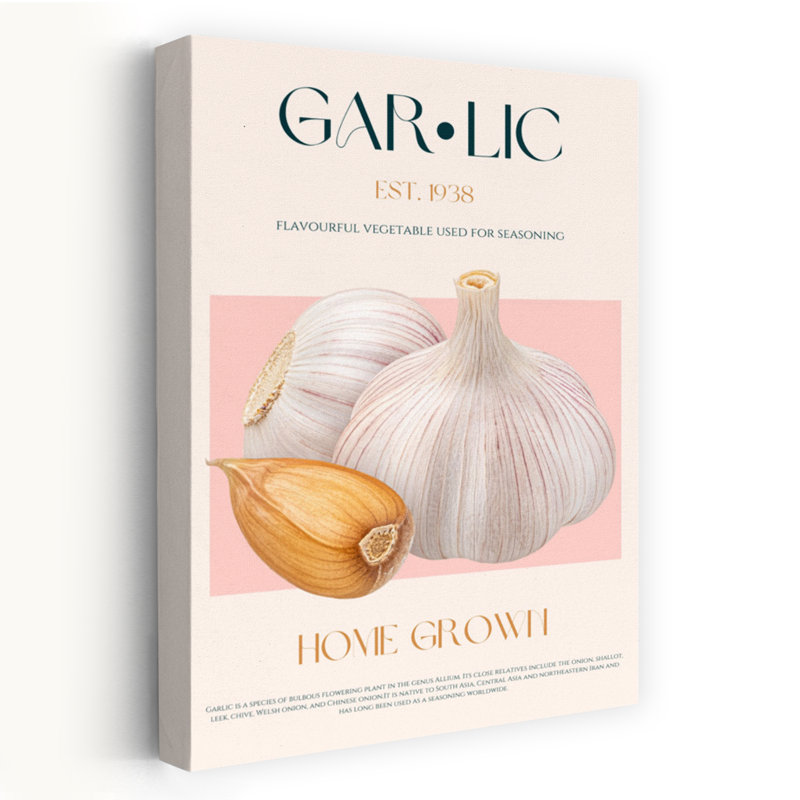 Fresh Home Grown Garlic by Nazma Khokhar - Wrapped Canvas Print, 152.4 cm H x 101.6 cm W