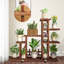 Support pour plante Kinard